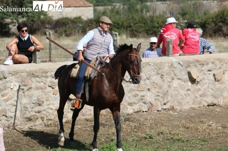 Encierro a caballo en Bañobárez con novillos de Eduardo Martín Cilleros / CORRAL