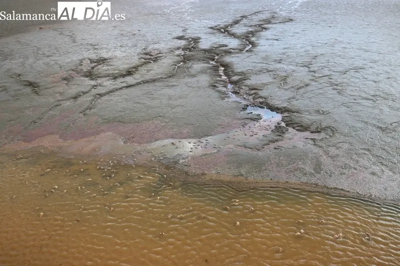 Situación que presentaba el sábado pasado el embalse de Almendra en la recula aguas arriba del puente de la carretera vieja que unía Almendra con Sardón de los Frailes / CORRAL 