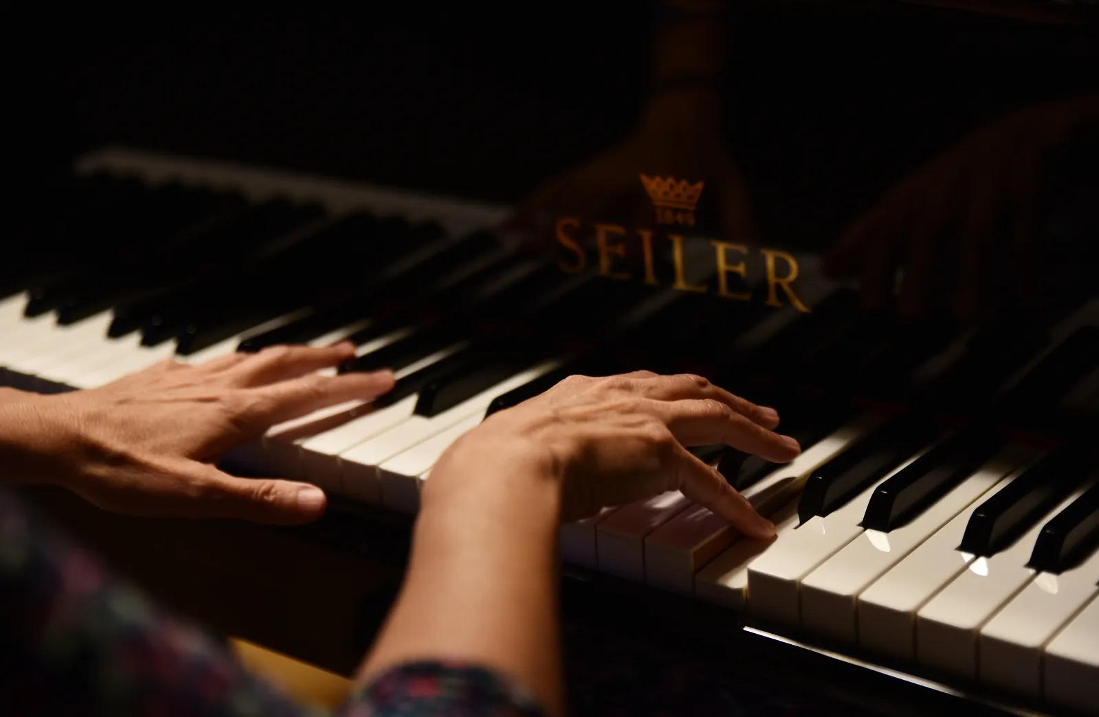 Foto 2 - La muestra expositiva 'Mar de Encinas' se cierra este jueves con un concierto de la pianista Mar&iacute;a Guerras