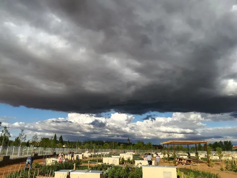 MENCION ADULTOS: Tormenta, huerto y patrimonio