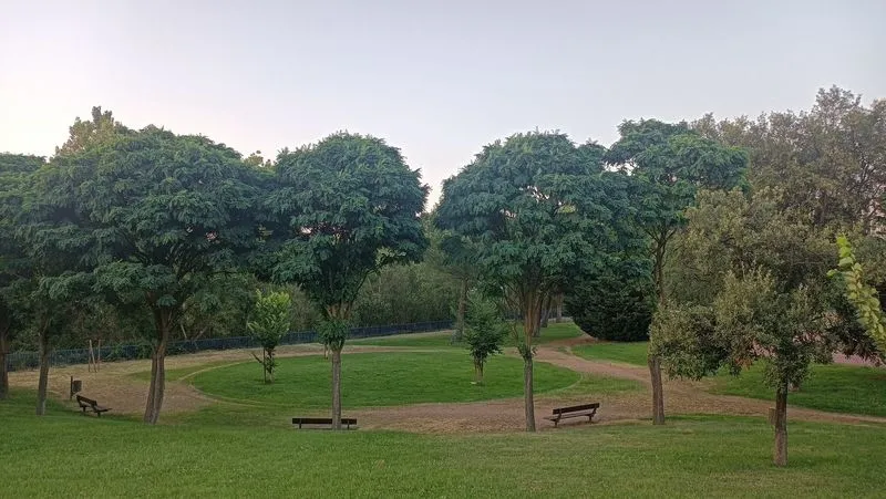 MENCIÓN INFANTIL: Verde que te quiero verde