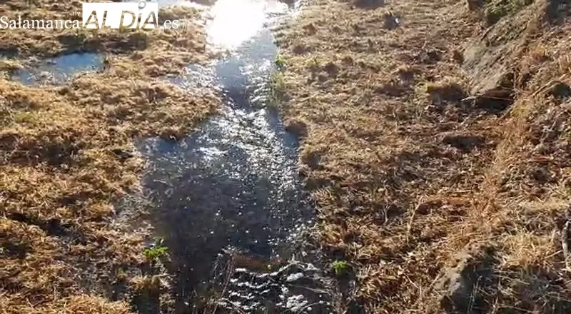 Avería en el ramal Uces de Cabeza de Horno a la altura de Barceo 