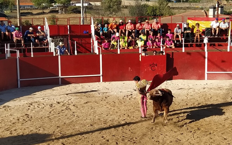 Entretenida novillada la de ayer sábado en Barruecopardo con triunfo de los novilleros y las ganaderías de Valdeflores y Valrubio