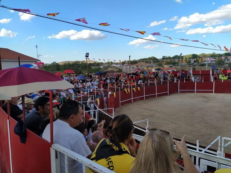 Entretenida novillada la de ayer sábado en Barruecopardo con triunfo de los novilleros y las ganaderías de Valdeflores y Valrubio