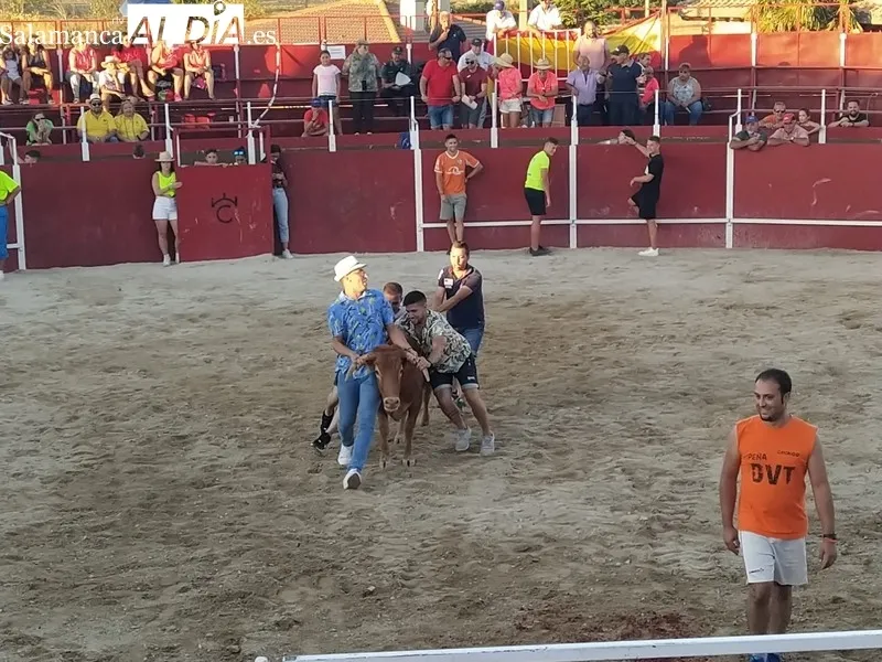 Tarde taurina la de ayer domingo en Barruecopardo con motivo de sus fiestas del Cristo de las Mercedes
