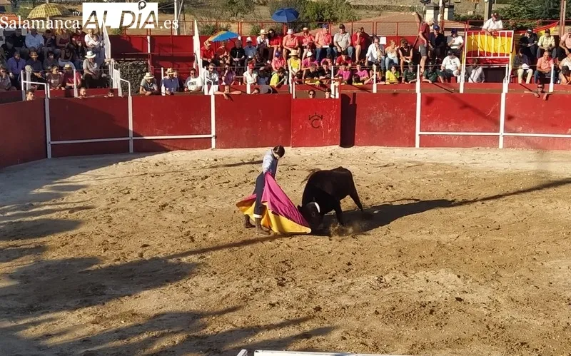 Tarde taurina la de ayer domingo en Barruecopardo con motivo de sus fiestas del Cristo de las Mercedes