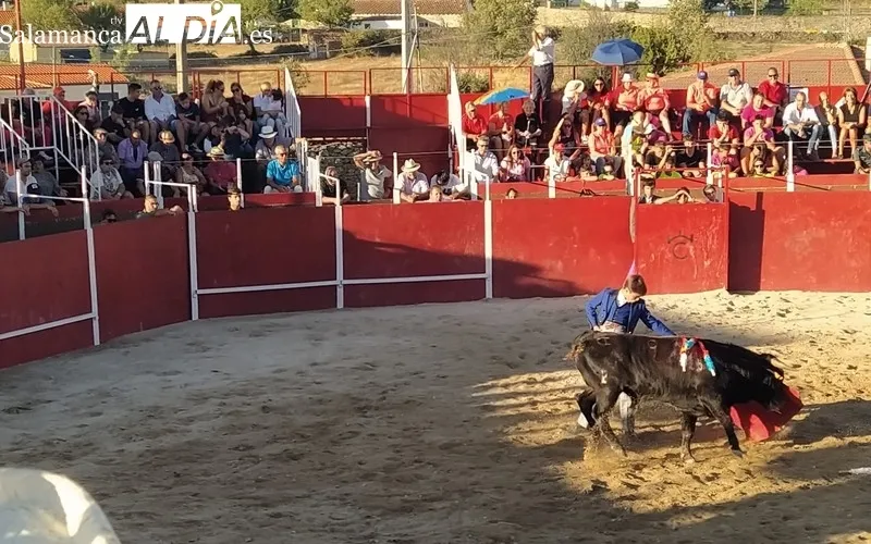 Tarde taurina la de ayer domingo en Barruecopardo con motivo de sus fiestas del Cristo de las Mercedes