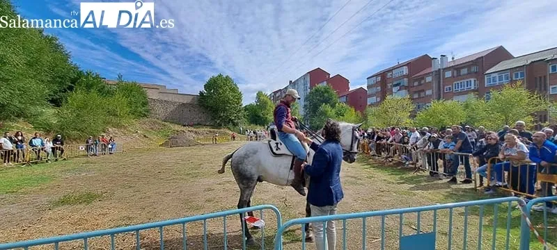 Foto 2 - Los animales protagonizan el arranque de las Ferias en B&eacute;jar
