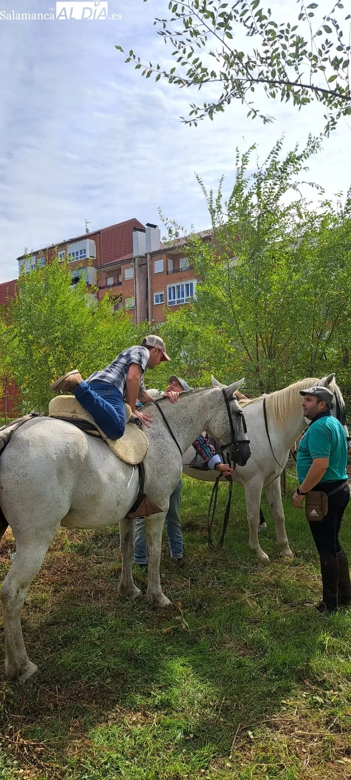 Foto 11 - Los animales protagonizan el arranque de las Ferias en B&eacute;jar