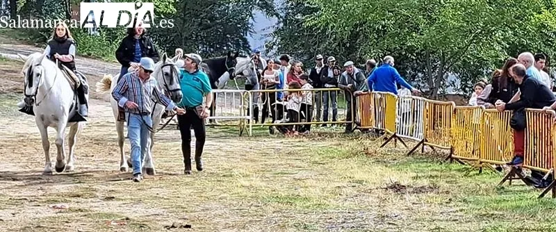 Foto 6 - Los animales protagonizan el arranque de las Ferias en B&eacute;jar