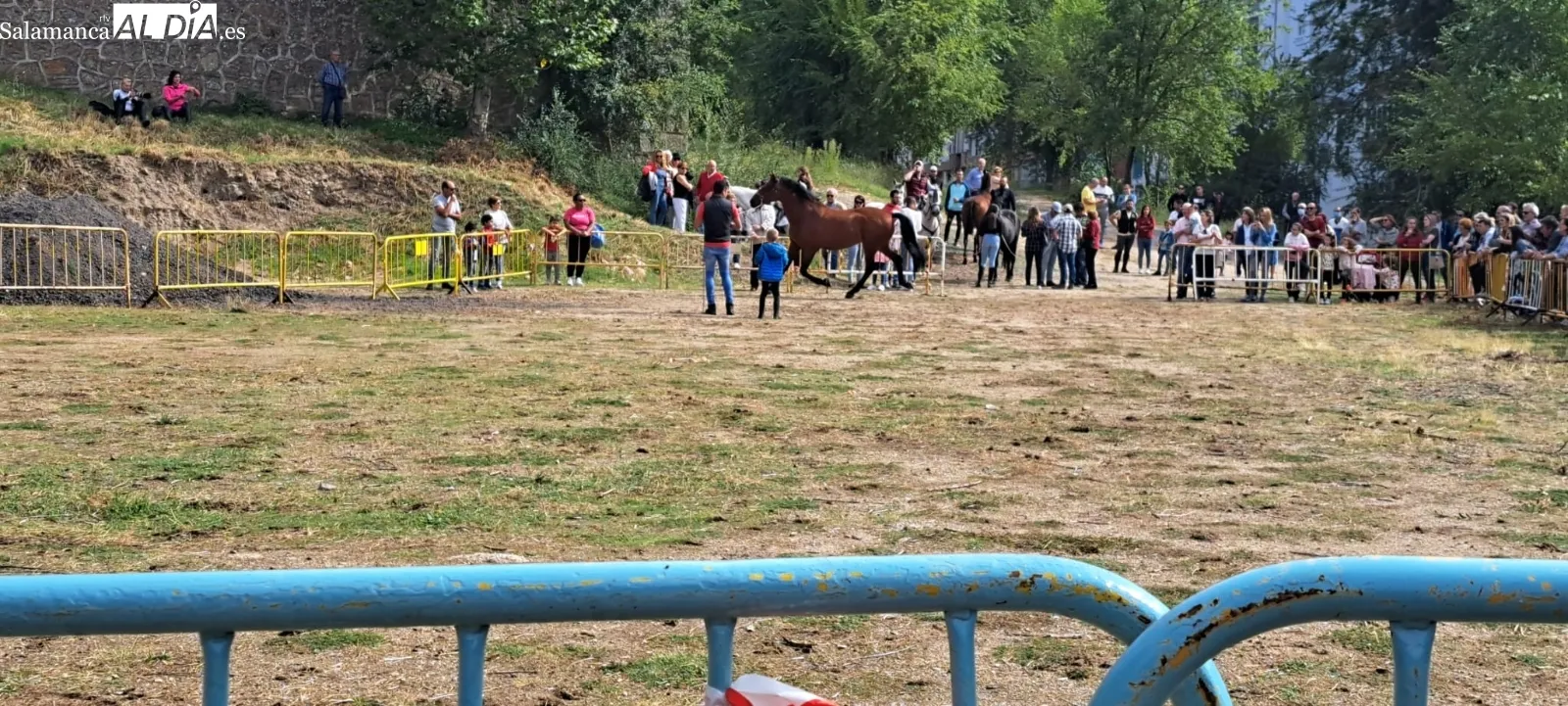 Foto 10 - Los animales protagonizan el arranque de las Ferias en B&eacute;jar
