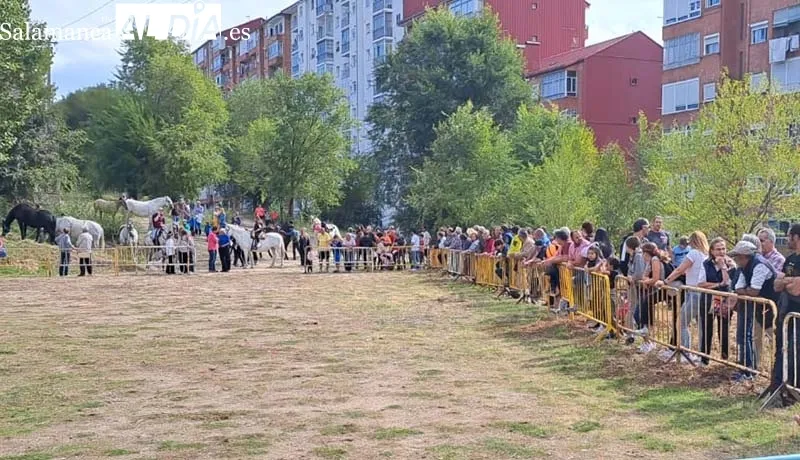 Foto 4 - Los animales protagonizan el arranque de las Ferias en B&eacute;jar