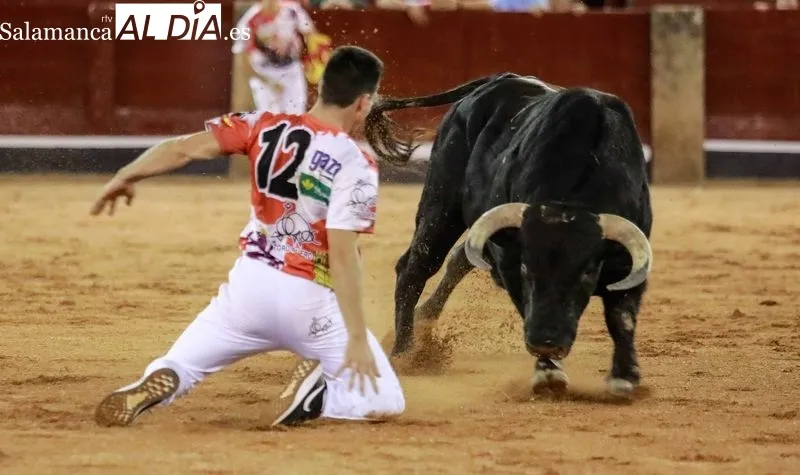 Concurso de cortes en La Glorieta
