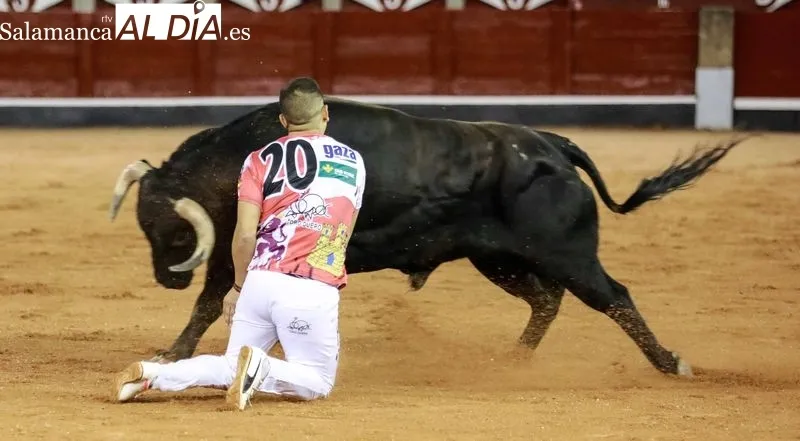 Concurso de cortes en La Glorieta