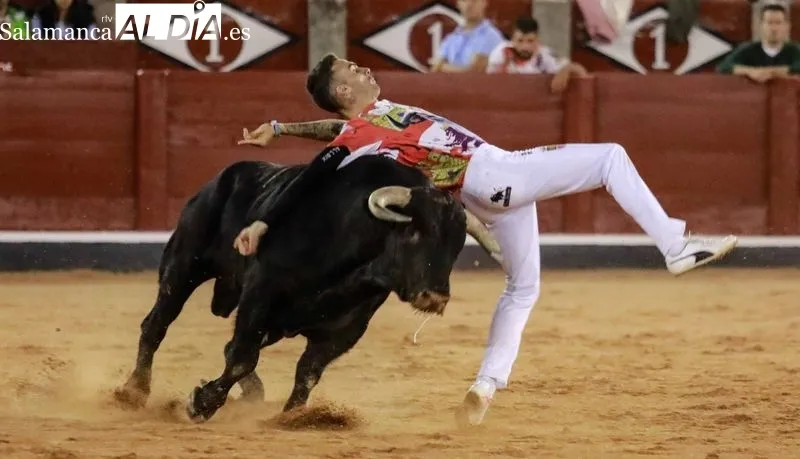 Concurso de cortes en La Glorieta