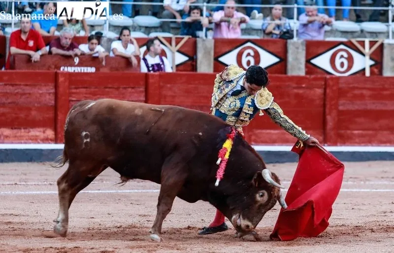 Imágenes de la novillada de este domingo en La Glorieta