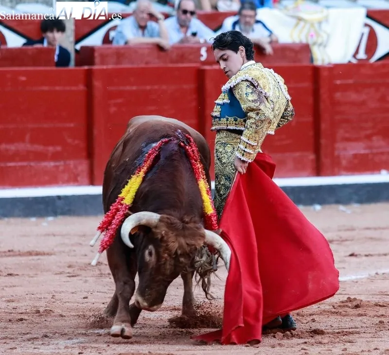 Imágenes de la novillada de este domingo en La Glorieta