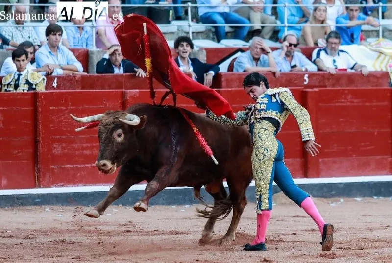 Imágenes de la novillada de este domingo en La Glorieta