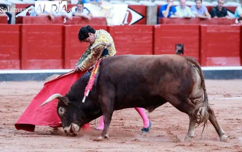 Imágenes de la novillada de este domingo en La Glorieta