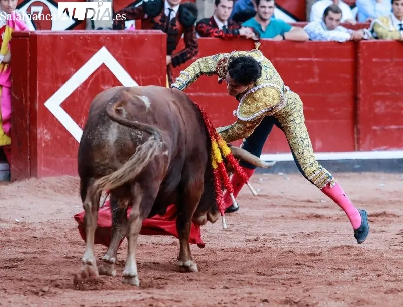 Imágenes de la novillada de este domingo en La Glorieta