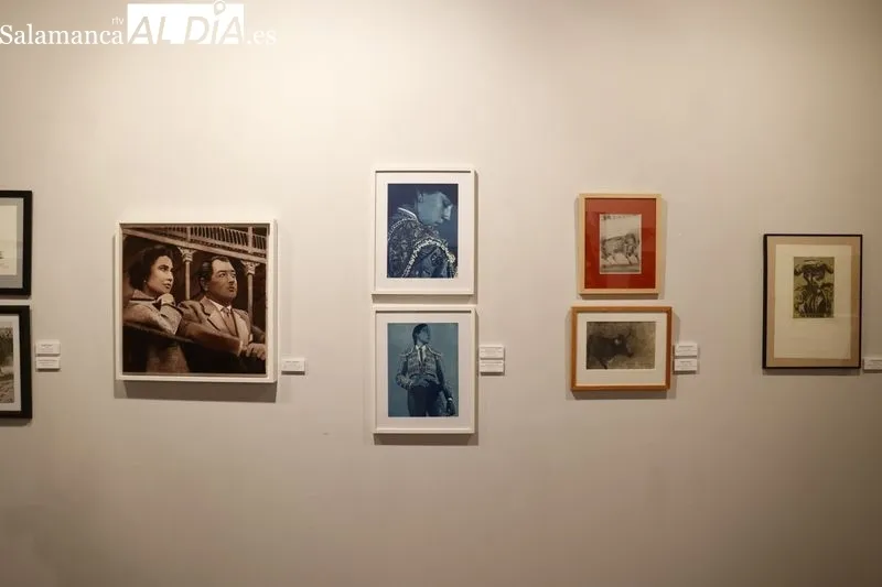Inauguración de la muestra 'El toro y el arte' en el Casino de Salamanca. Foto de David Sañudo