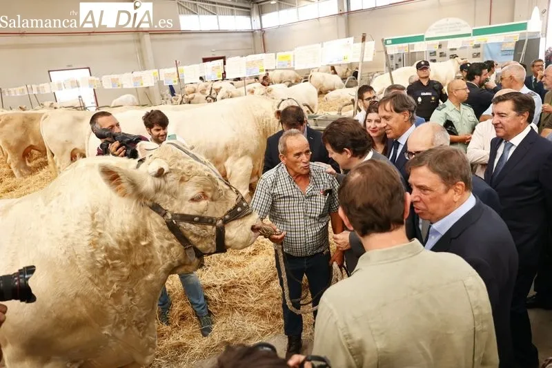 Una de las fotos curiosas de la jornada inaugural de Salamaq. Foto de David Sañudo