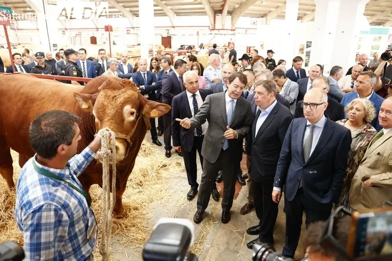 Una de las fotos curiosas de la jornada inaugural de Salamaq. Foto de David Sañudo