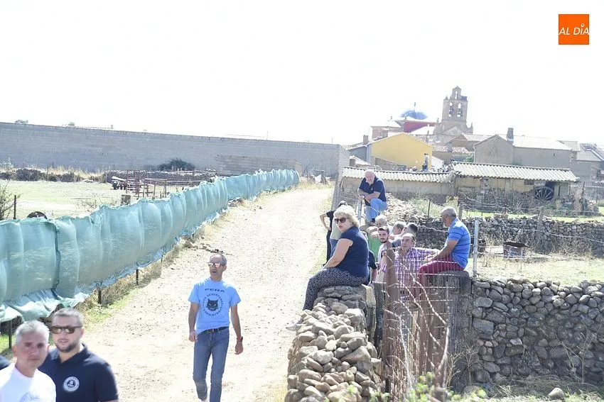 Momento del segundo encierro a caballo en Aldehuela de Yeltes/ Fotos: Adrián M.Pastor