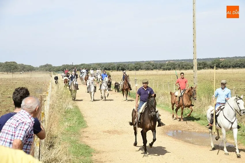 Momento del segundo encierro a caballo en Aldehuela de Yeltes/ Fotos: Adrián M.Pastor