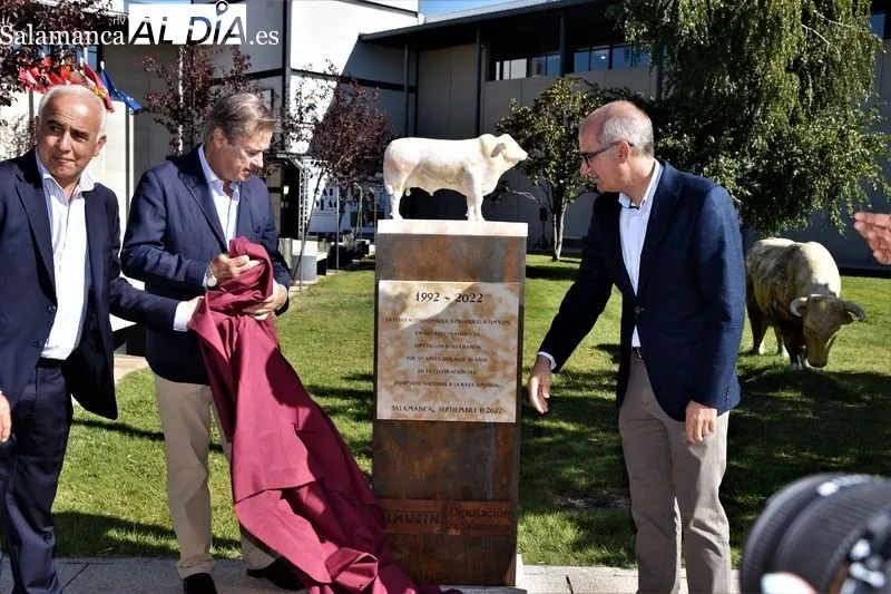 Inauguración de la escultura con la que la Diputación homenajea a los criadores de Limusín por los 30 años de colaboración 