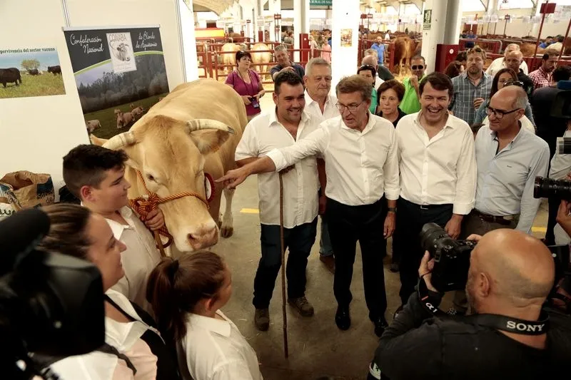 El presidente del PP, Alberto Núñez Feijóo (2i); el presidente de CyL, Alfonso Fernández Mañueco (3i) y el presidente de la Diputación, Javier Iglesias (4i), con una vaca durante su visita a SALAMAQ. Foto M. A. Laya - EP