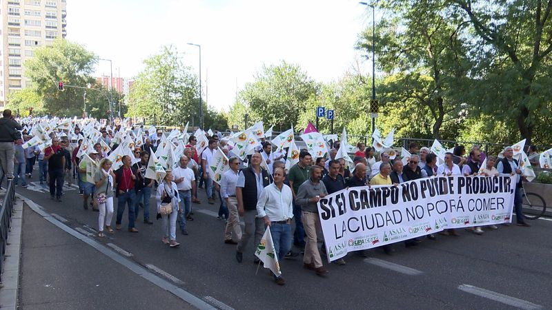 Foto 1 - Cientos de ganaderos y agricultores se manifiestan en Valladolid: "El granero de España se arruina"