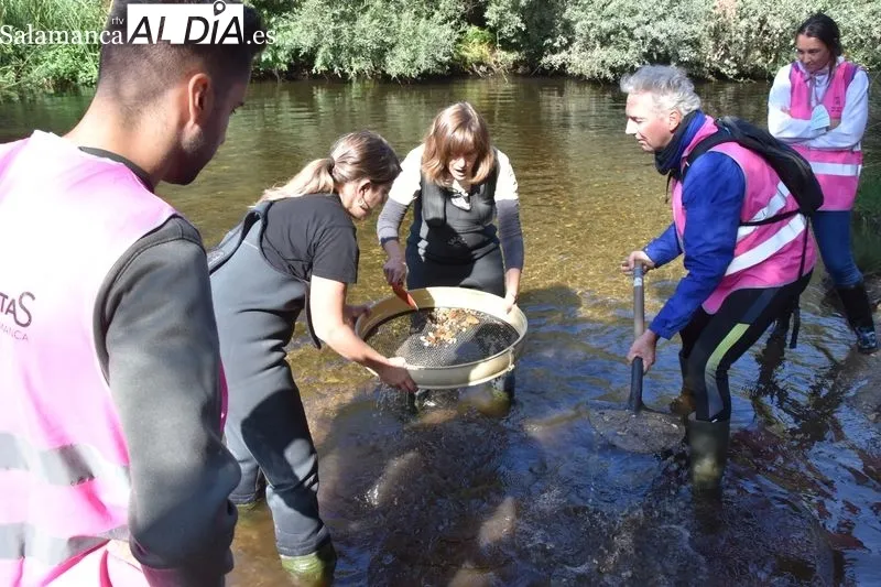 Voluntariado ambiental en la ribera del Tormes