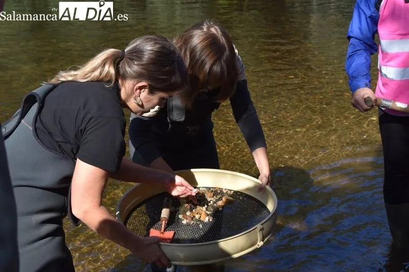 Voluntariado ambiental en la ribera del Tormes