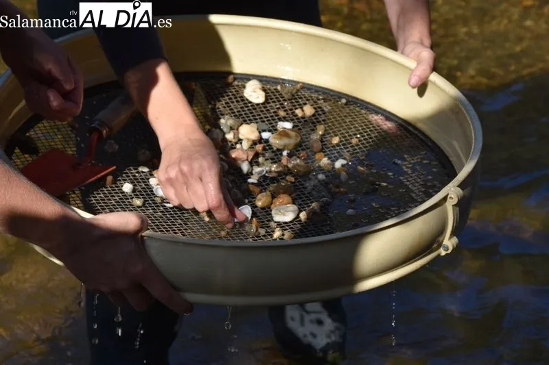 Voluntariado ambiental en la ribera del Tormes