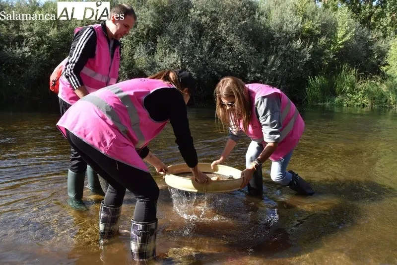 Voluntariado ambiental en la ribera del Tormes