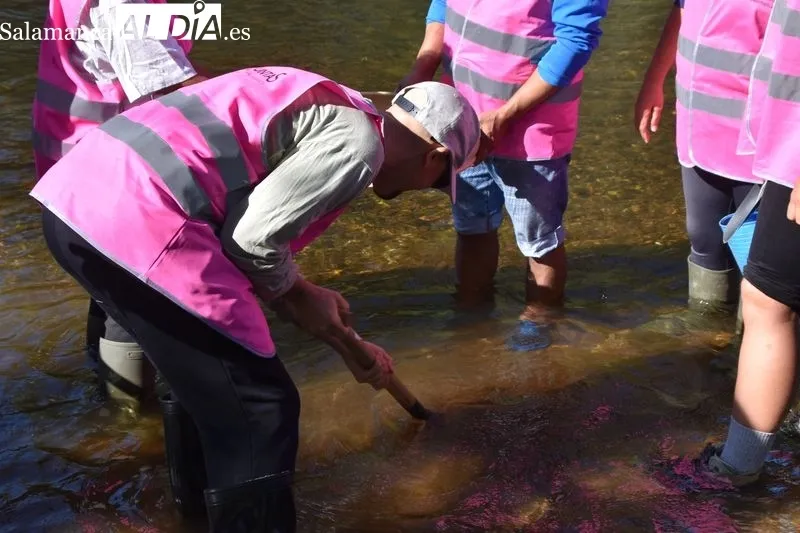Voluntariado ambiental en la ribera del Tormes