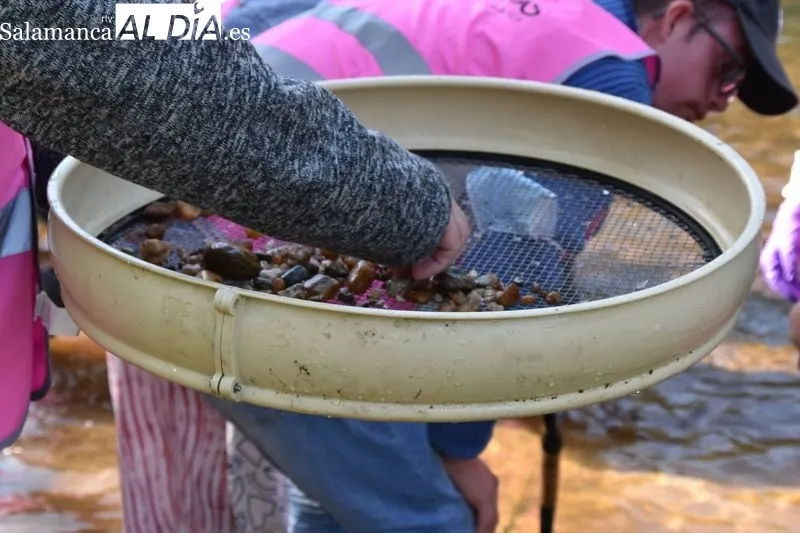 Voluntariado ambiental en la ribera del Tormes