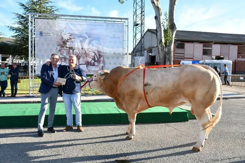 Entrega de premios de la 33 Exposición de Ganado Puro en la Feria Salamaq. Foto Salamaq
