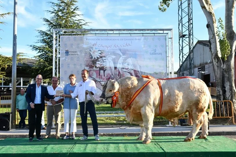 Entrega de premios de la 33 Exposición de Ganado Puro en la Feria Salamaq. Foto Salamaq