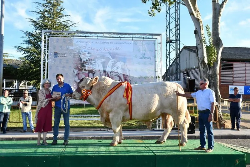 Entrega de premios de la 33 Exposición de Ganado Puro en la Feria Salamaq. Foto Salamaq