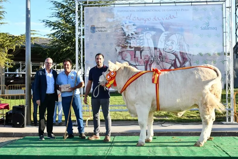 Entrega de premios de la 33 Exposición de Ganado Puro en la Feria Salamaq. Foto Salamaq