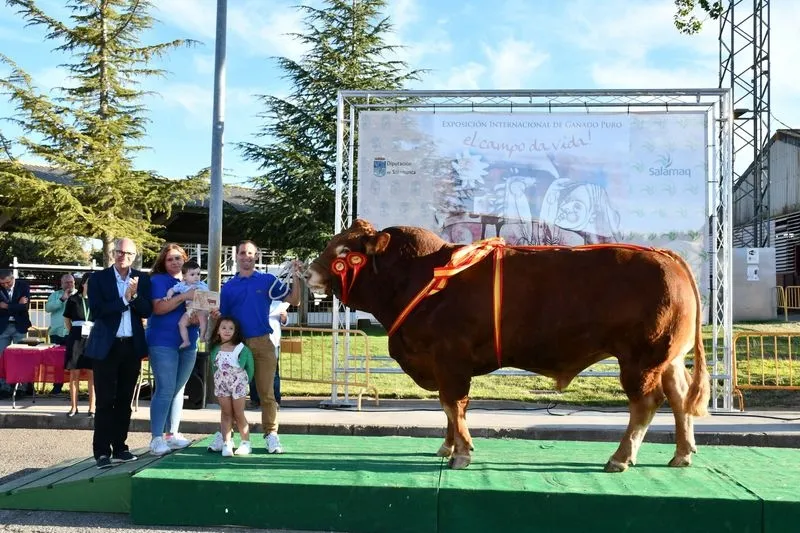 Entrega de premios de la 33 Exposición de Ganado Puro en la Feria Salamaq. Foto Salamaq
