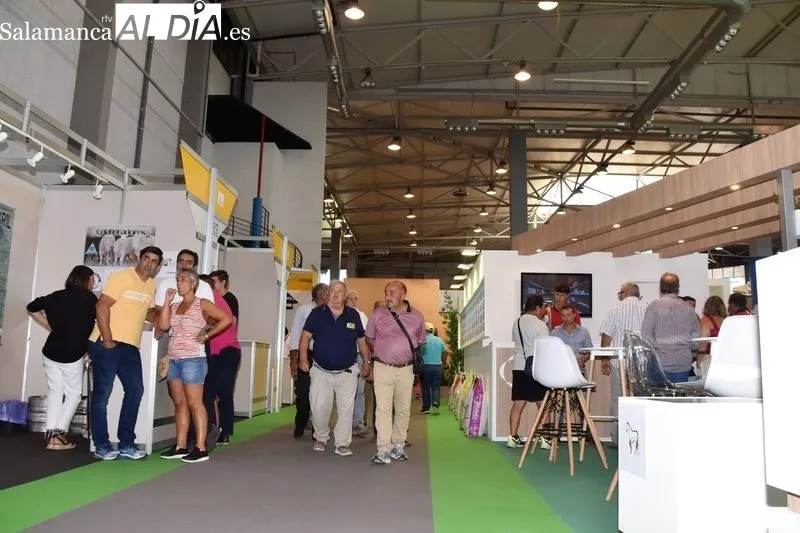 Ambiente en Salamaq este lunes 