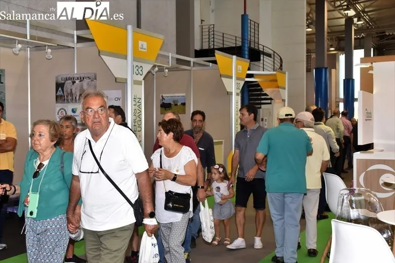 Ambiente en Salamaq este lunes 