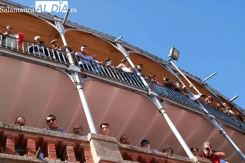 Apartado de los seis toros de la Ganadería Francisco Galache para la tercera de la Feria de Salamanca. Foto de Miguel Hernández