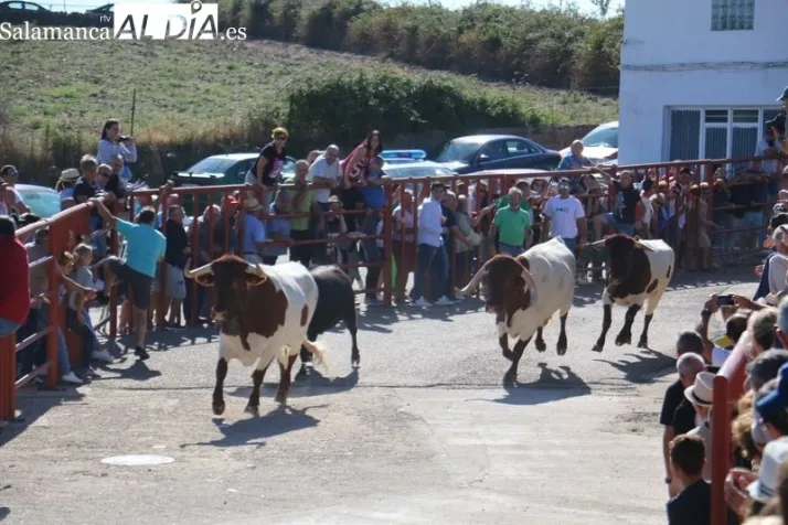Un desayuno motero organizado por NaniMotorbikes, acoge a m&aacute;s de 90 participantes de la &lsquo;I VeXperiencia Interclubs&rsquo; | Imagen 1