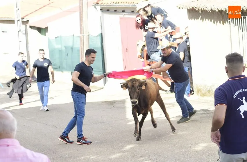 vaquillas aldehuela de yeltes