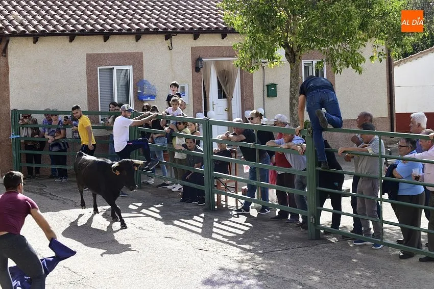 vaquillas aldehuela de yeltes