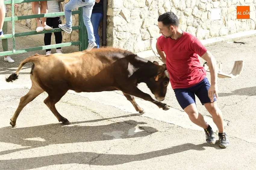 vaquillas aldehuela de yeltes